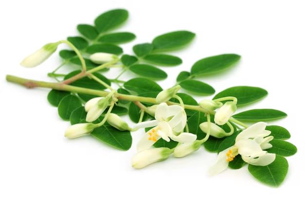 Moringa